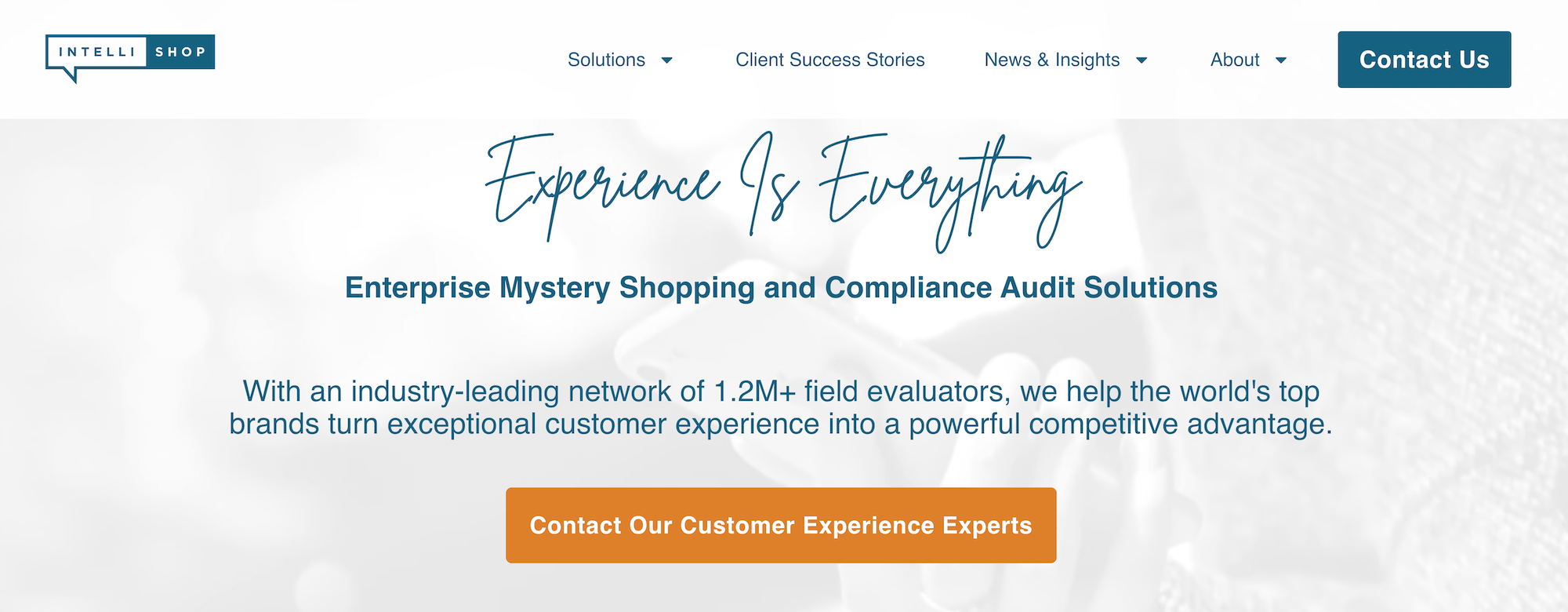 IntelliShop homepage: Experience is Everything